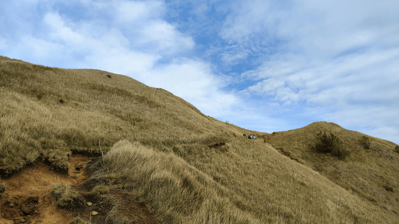 Mt. Pulag